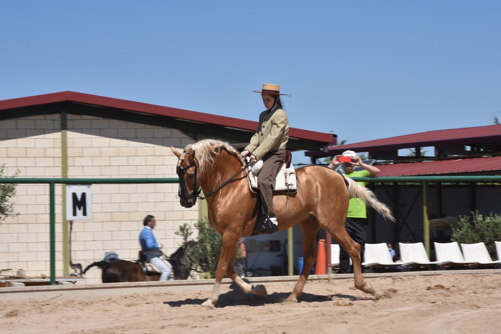 Once binomios alzaron el telón de la Doma Vaquera.